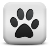 Captcha image 3184